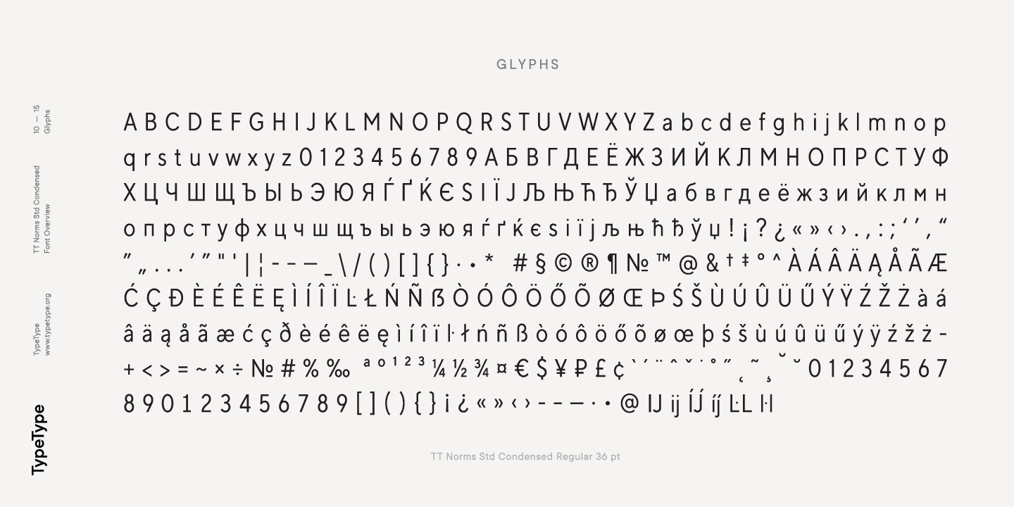 TT Norms Std Condensed Normal Font preview